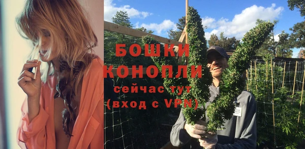 бошки Дмитров