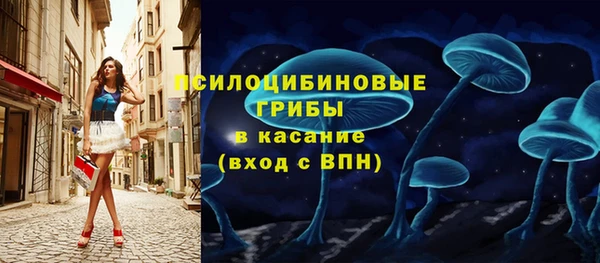 эйфоретик Дмитровск