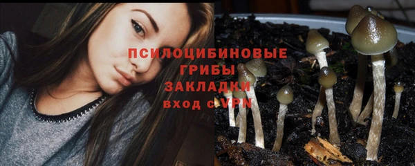 экстази Шадринск