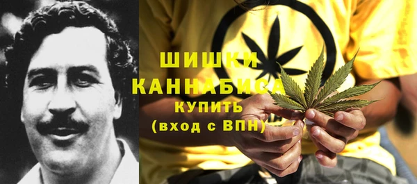 бошки Дмитров