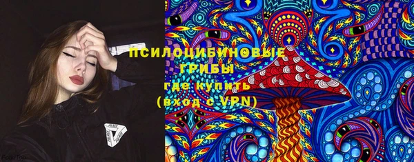 бошки Дмитров